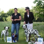 551762_335625596508625_100001835613106_845362_1769394913_n