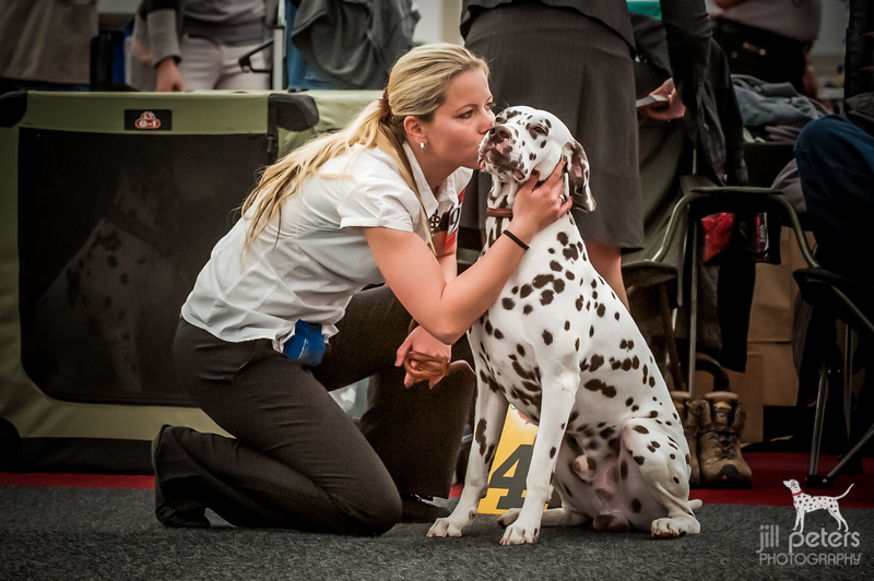 Nationale Rassenausstellung Oldenburg