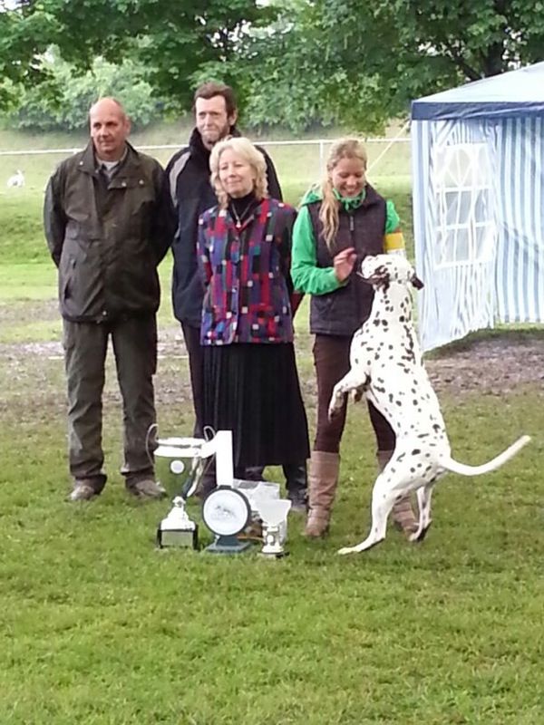 Caprilli's I Have a Dream, Richterin Julie Evans (UK): Offene Klasse / Open Class: V1 / 1EXC, BOS, "Vereinssieger", BOB Caprilli's I Have a Dream, Richterin Julie Evans (UK): Offene Klasse / Open Class: V1 / 1EXC, BOS, "Vereinssieger", BOB