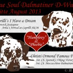 Deckung 16.06.2013:
Caprilli's I Have a Dream & Christi Ormond Famous Flame
True Soul Dalmatiner