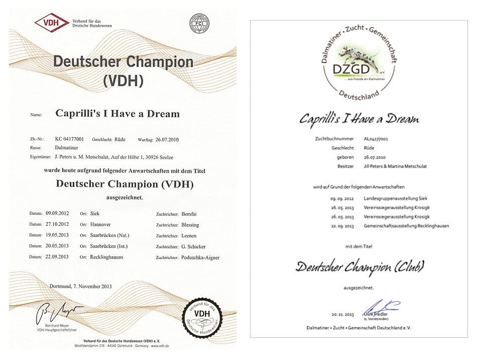 Urkunden Dt. Ch. VDH & Club