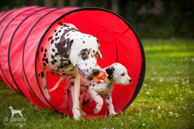 Humphrey & Sohnemann