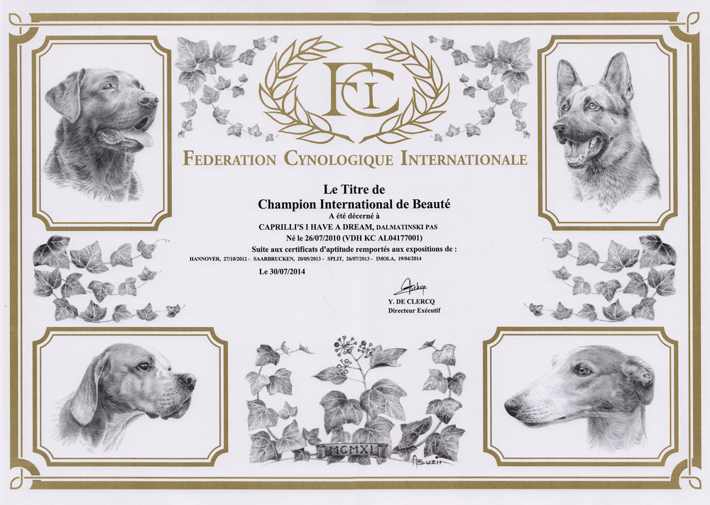 Internationaler Schönheits-Champion Caprilli's I Have a Dream