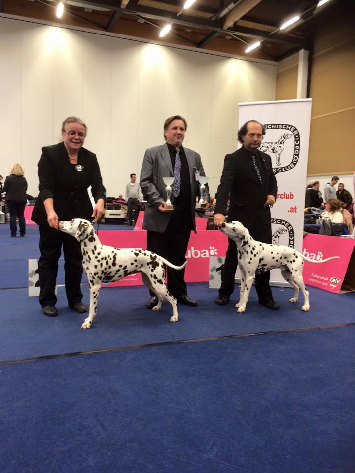 Aristotele del Parnaso, Wels 2015